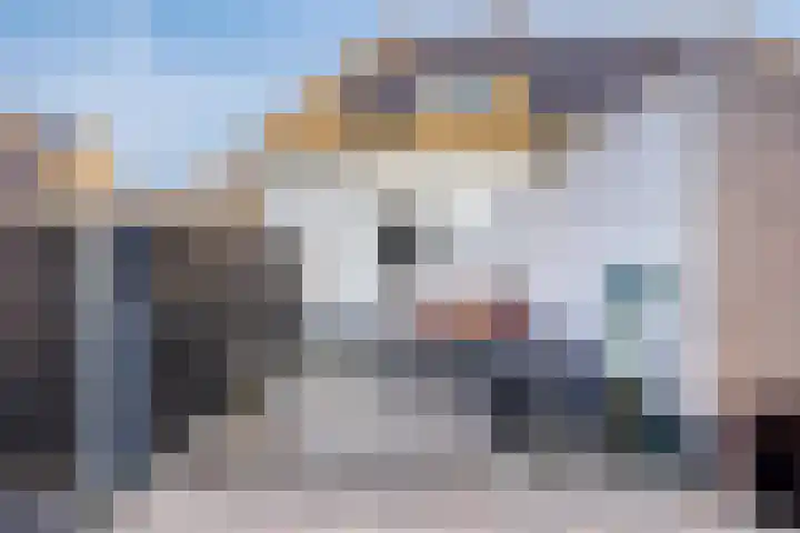 Neerakker 60 Mierlo thumbnail 68