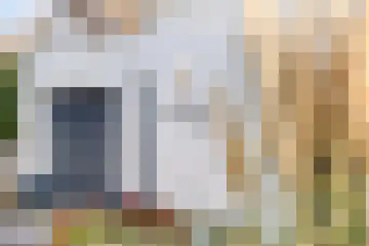 Neerakker 60 Mierlo thumbnail 8