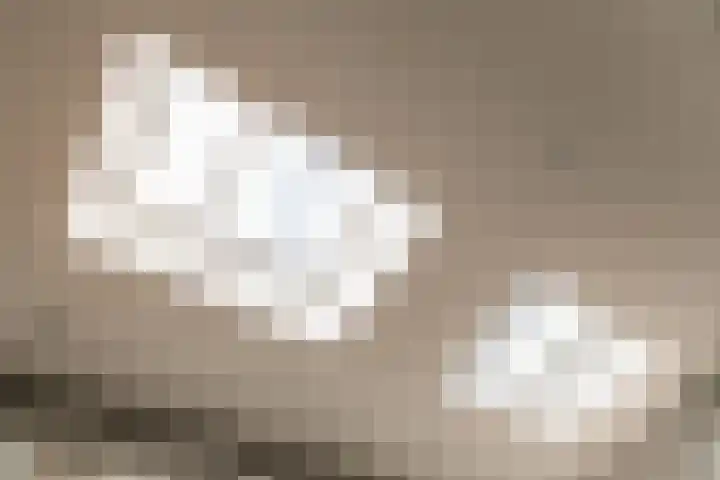 Neerbeekerhof 22 Beek thumbnail 6
