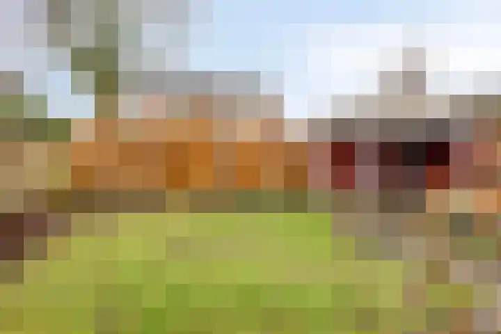 Neercasselstraat 36 Losser thumbnail 38