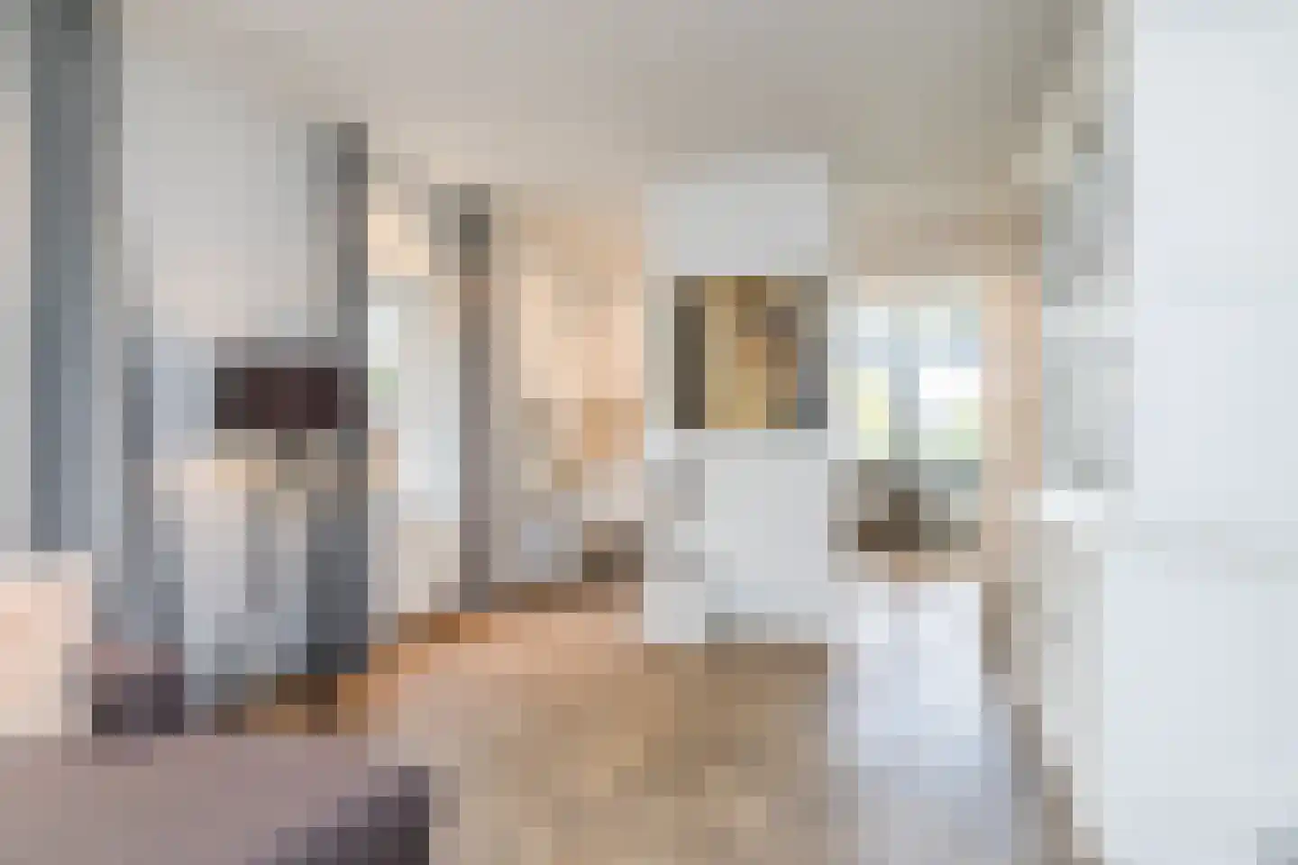 Neerhem 117 Valkenburg thumbnail 18