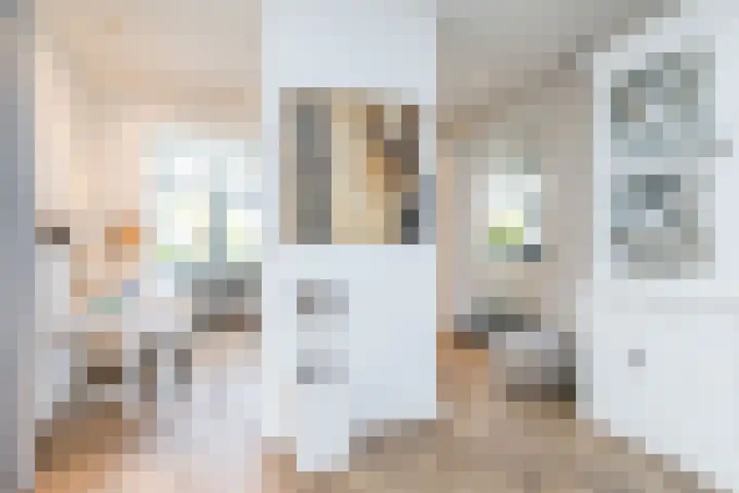 Neerhem 117 Valkenburg thumbnail 19