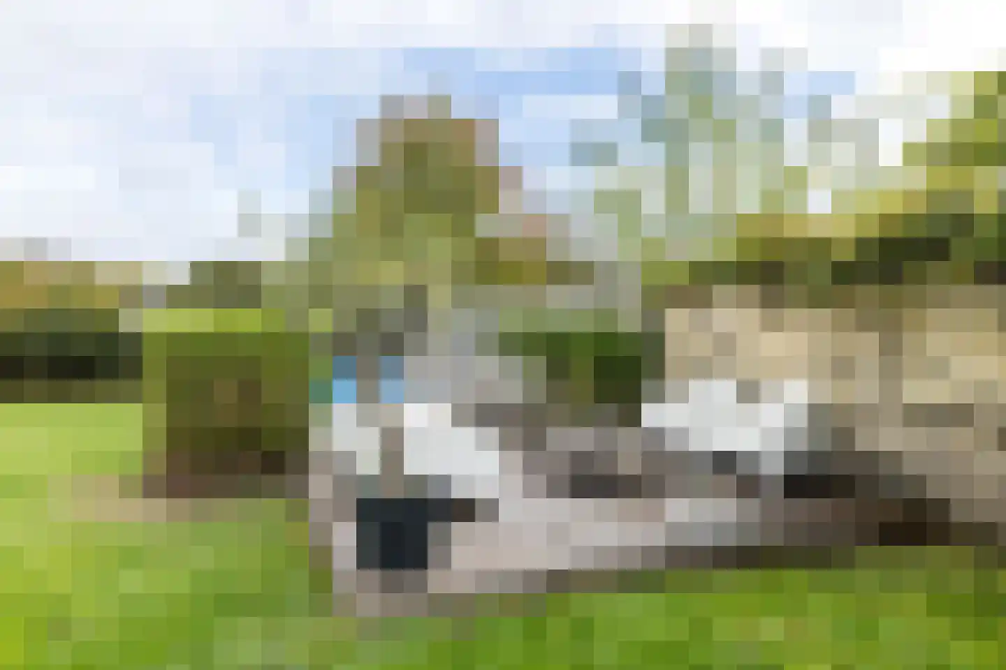 Neerhem 117 Valkenburg thumbnail 65