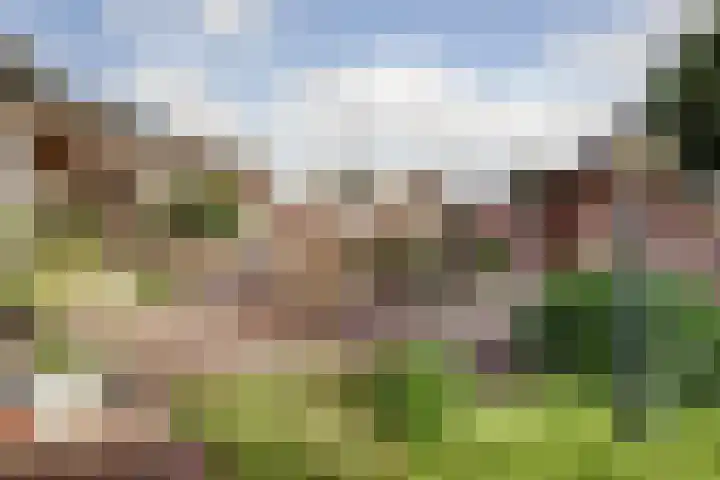 Neerseweg 38 Helden thumbnail 37