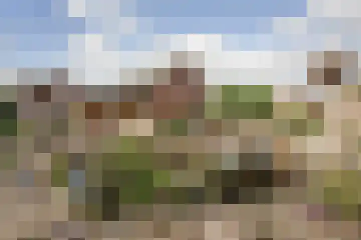 Neerseweg 38 Helden thumbnail 43