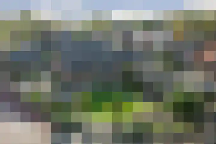 Neerseweg 38 Helden thumbnail 55