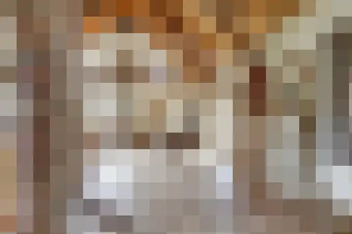 Neerseweg 38 Helden thumbnail 9