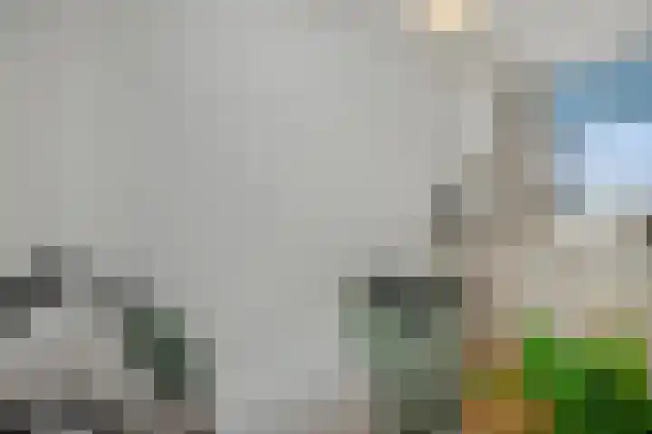 Neerstraat 187 's-Hertogenbosch thumbnail 25