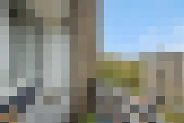 Neerstraat 187 's-Hertogenbosch thumbnail 32