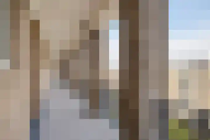 Neerstraat 85 's-Hertogenbosch thumbnail 5