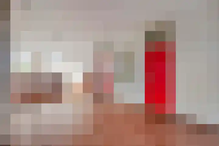 Neerstraat 93 's-Hertogenbosch thumbnail 23