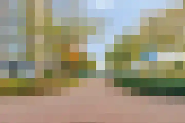 Neerstraat 93 's-Hertogenbosch thumbnail 25