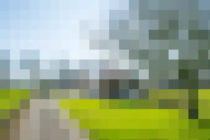 Neerveldseweg 2 Netterden thumbnail 13