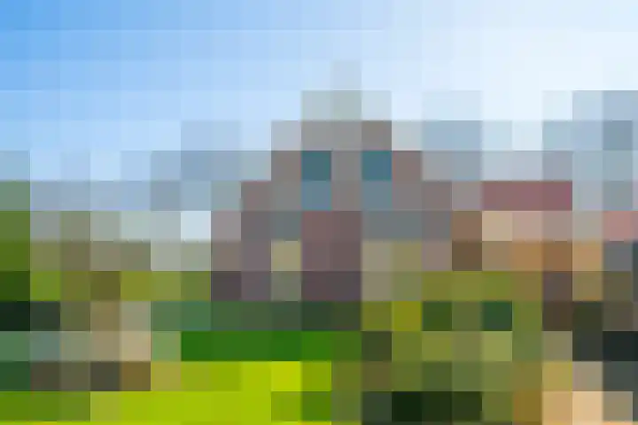 Neerveldseweg 2 Netterden thumbnail 15