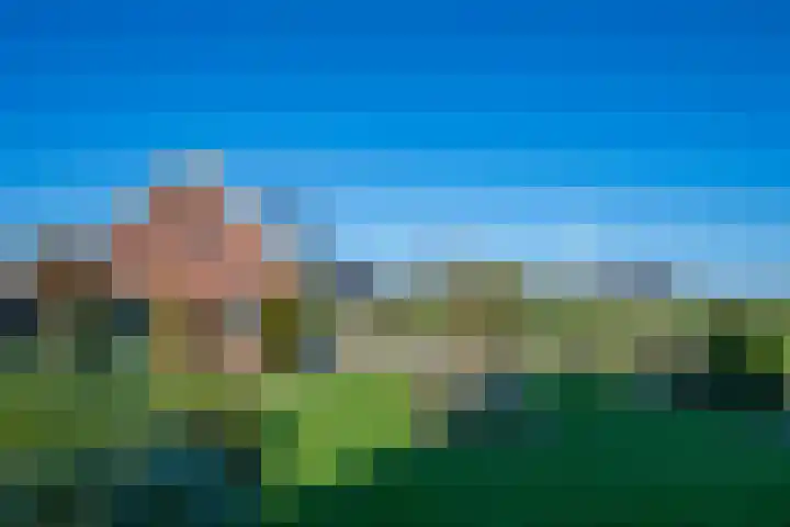 Neerveldseweg 2 Netterden thumbnail 20