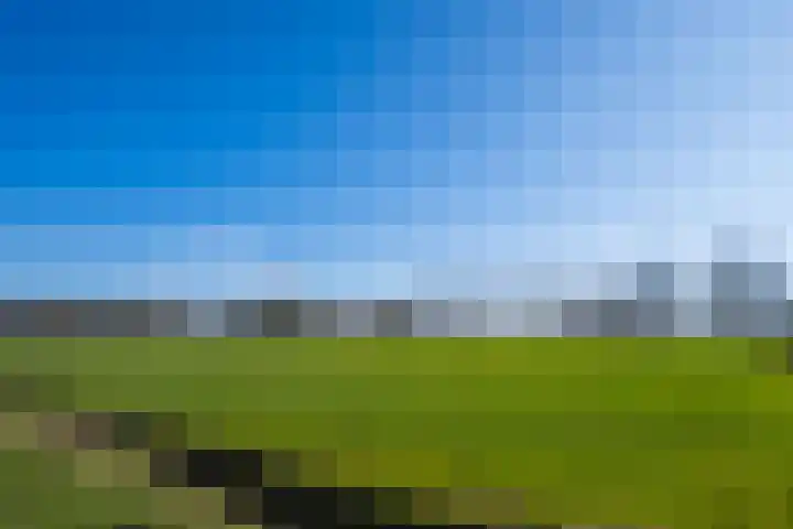 Neerveldseweg 2 Netterden thumbnail 30
