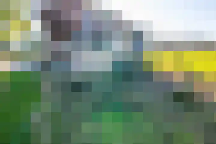 Neerveldseweg 2 Netterden thumbnail 32