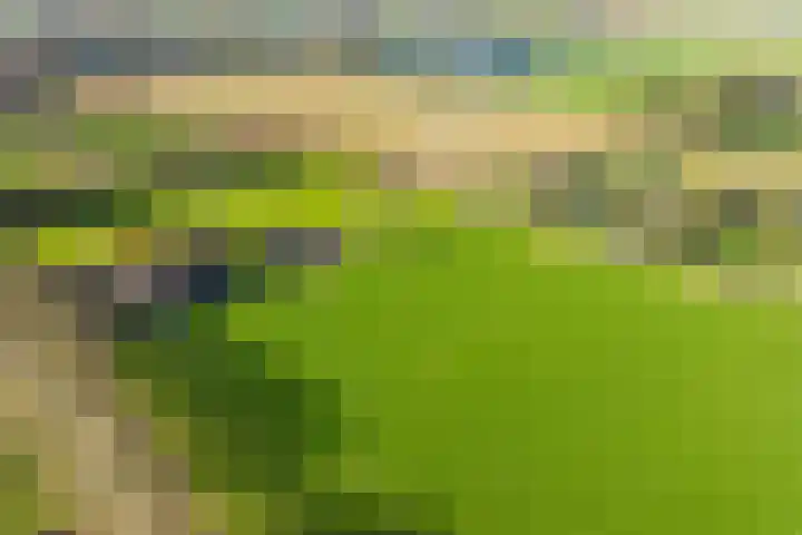 Neerveldseweg 2 Netterden thumbnail 4