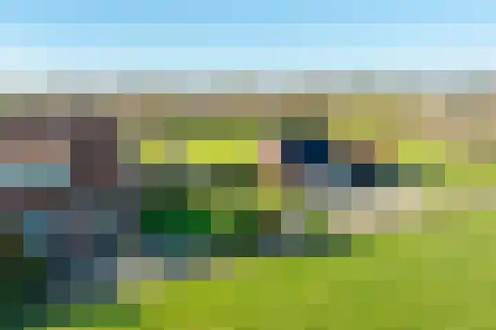 Neerveldseweg 2 Netterden thumbnail 5