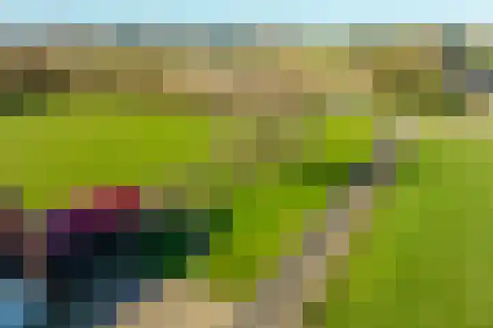 Neerveldseweg 2 Netterden thumbnail 6