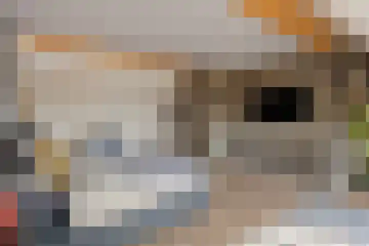 Neerwal 190 Helmond thumbnail 27
