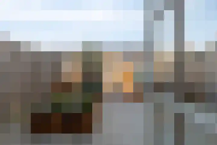 Neerwal 190 Helmond thumbnail 29