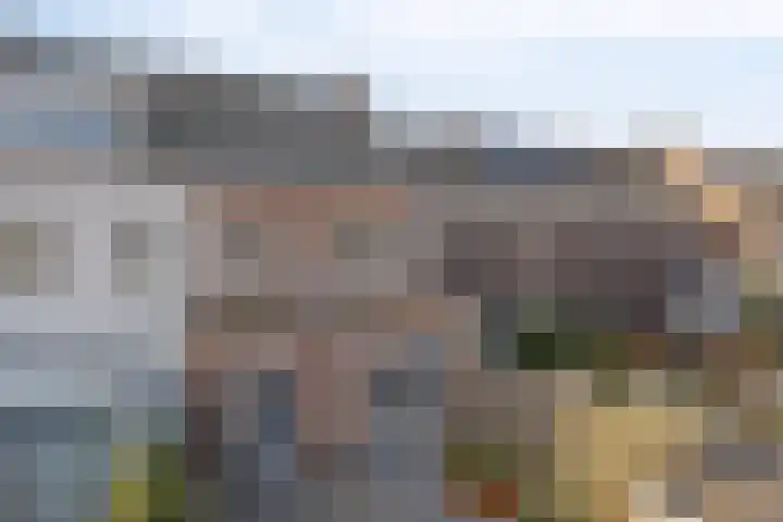 Neerwal 190 Helmond thumbnail 33