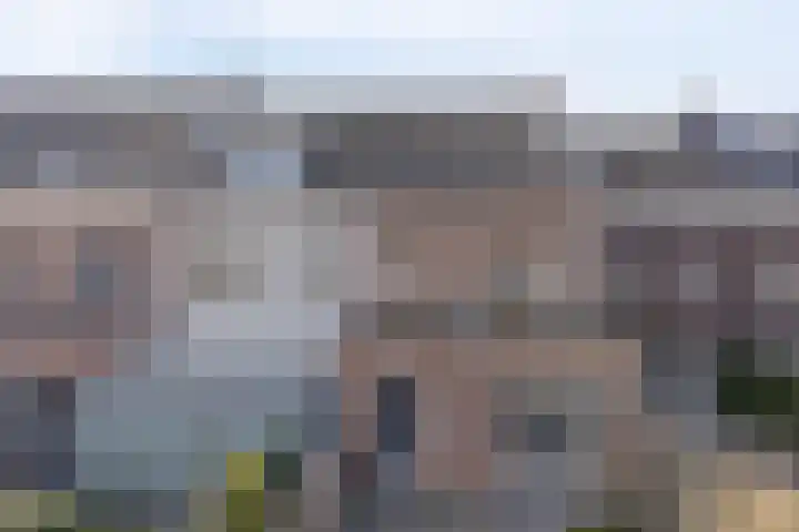 Neerwal 190 Helmond thumbnail 34