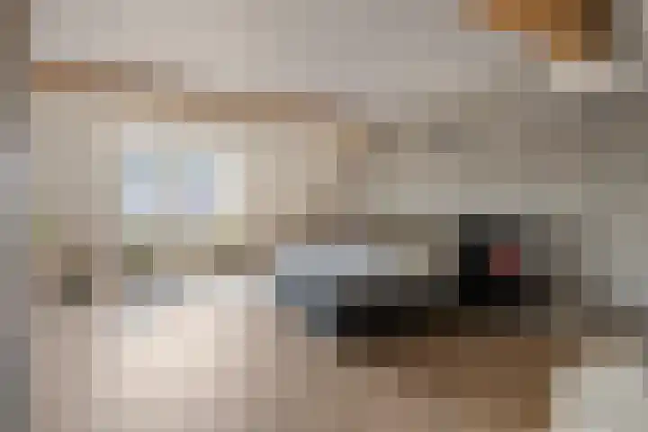 Neerwal 190 Helmond thumbnail 4