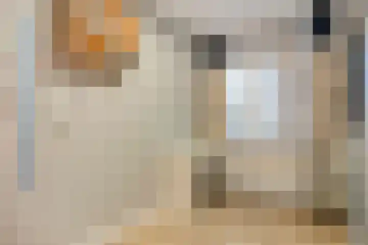 Neherkade 1648 Den Haag thumbnail 15