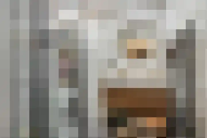 Neherkade 1648 Den Haag thumbnail 17