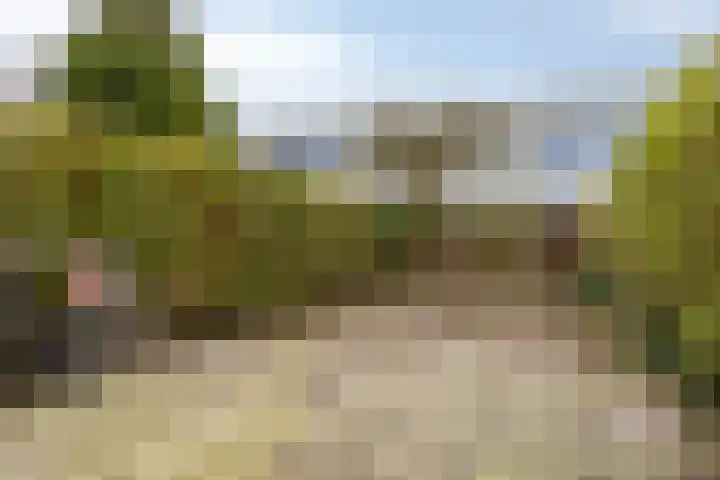 Nehrusingel 130 Rotterdam thumbnail 4
