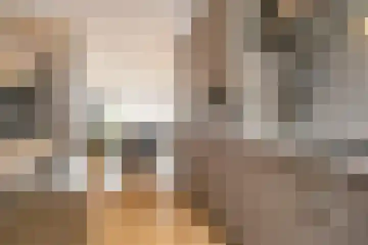 Nehrusingel 8 Ede thumbnail 14