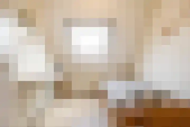 Nehrusingel 8 Ede thumbnail 20