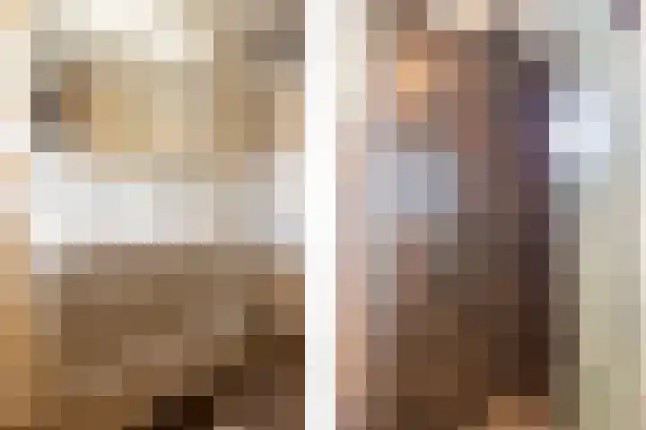 Nehrusingel 8 Ede thumbnail 22
