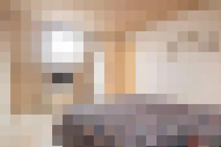 Nehrusingel 8 Ede thumbnail 25