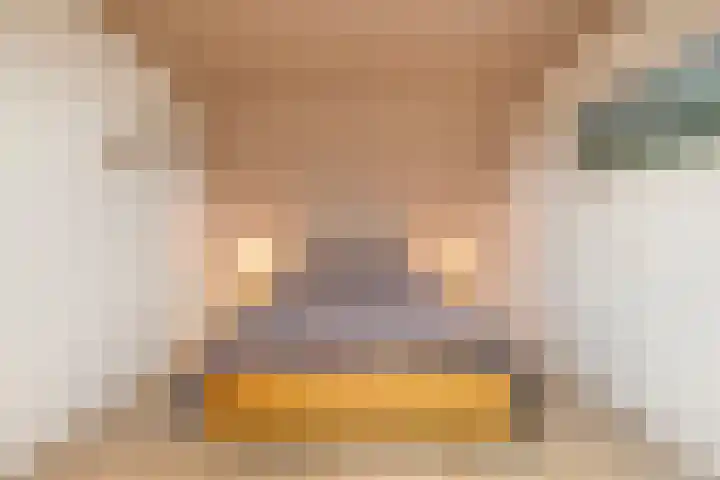 Nehrusingel 8 Ede thumbnail 26