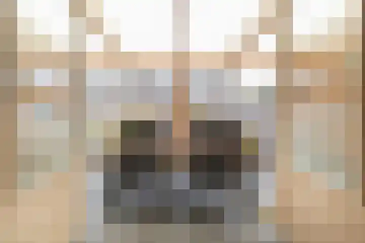 Nehrusingel 8 Ede thumbnail 27