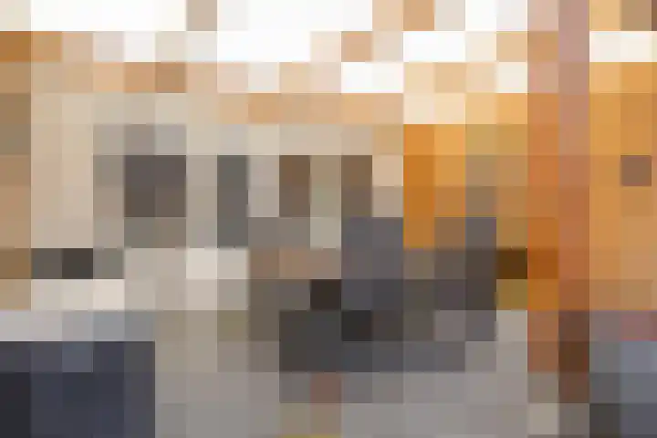 Nehrusingel 8 Ede thumbnail 28