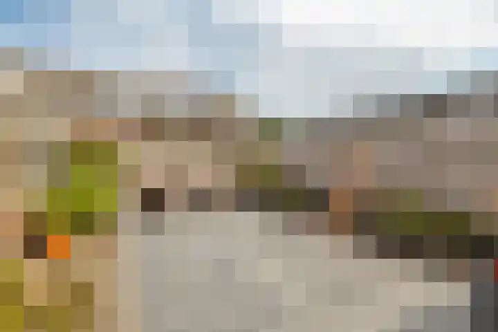 Nehrusingel 8 Ede thumbnail 29