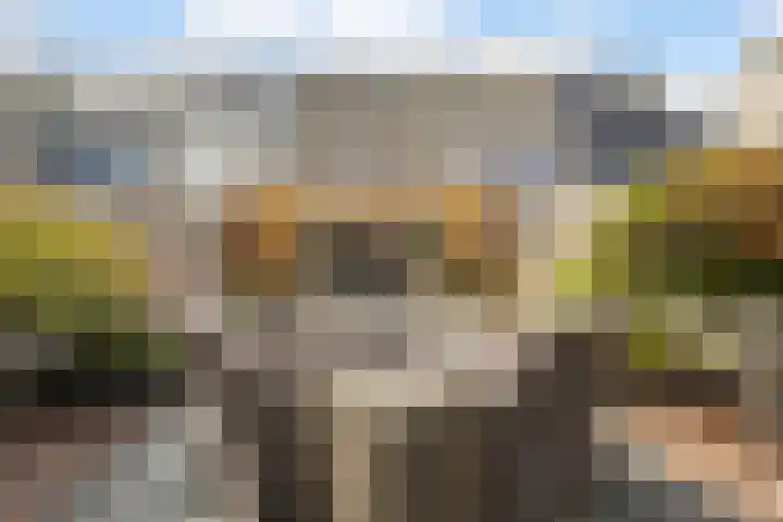 Nehrusingel 8 Ede foto 3