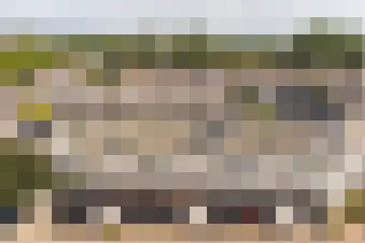 Nehrusingel 8 Ede thumbnail 32