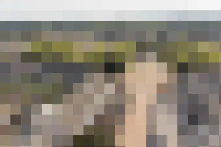 Nehrusingel 8 Ede thumbnail 33