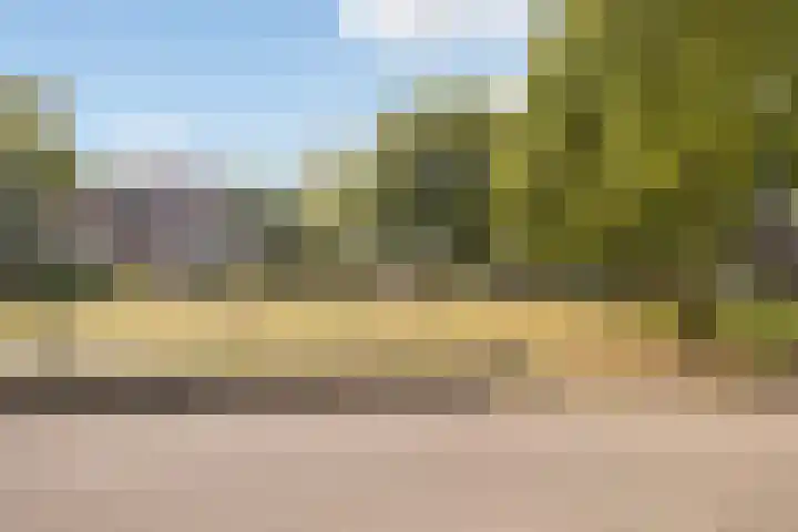 Nehrusingel 8 Ede thumbnail 35