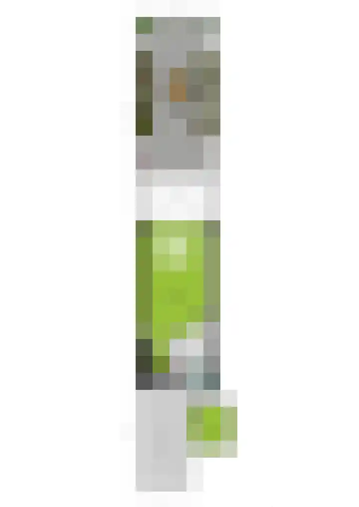 Nehrusingel 8 Ede thumbnail 39