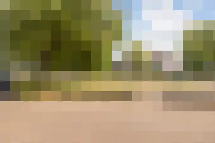 Nehrusingel 8 Ede thumbnail 4