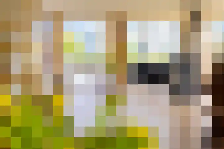 Nei de Feart 15 Warns thumbnail 20