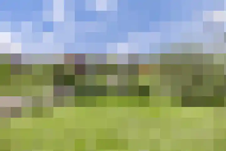 Nei de Feart 15 Warns thumbnail 49