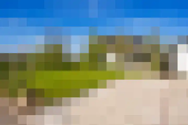 Nei de Feart 15 Warns thumbnail 50