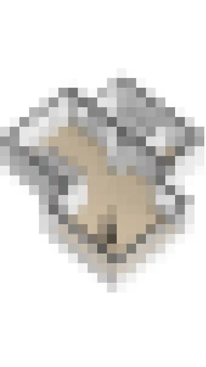 Nei de Feart 15 Warns thumbnail 53